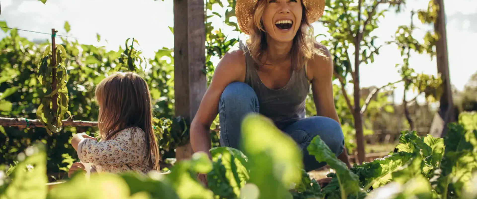 que_es_sostenibilidad-1536x944 (1)