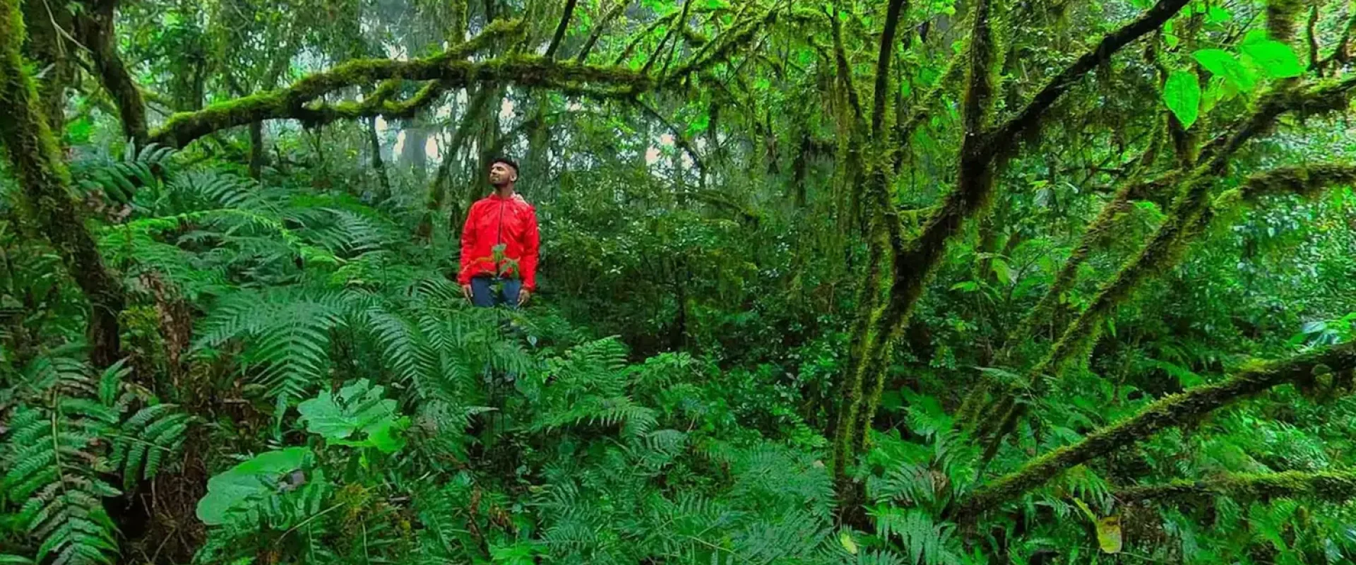 sustentabilidad argreen - Conservacion de Biodiversidad