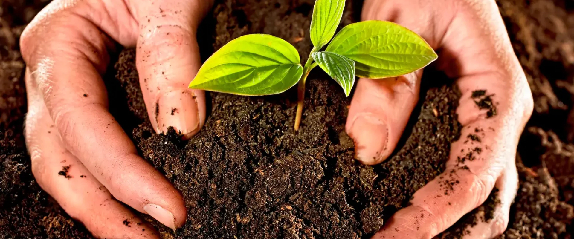 sustentabilidad argreen- Produccion Sustentable