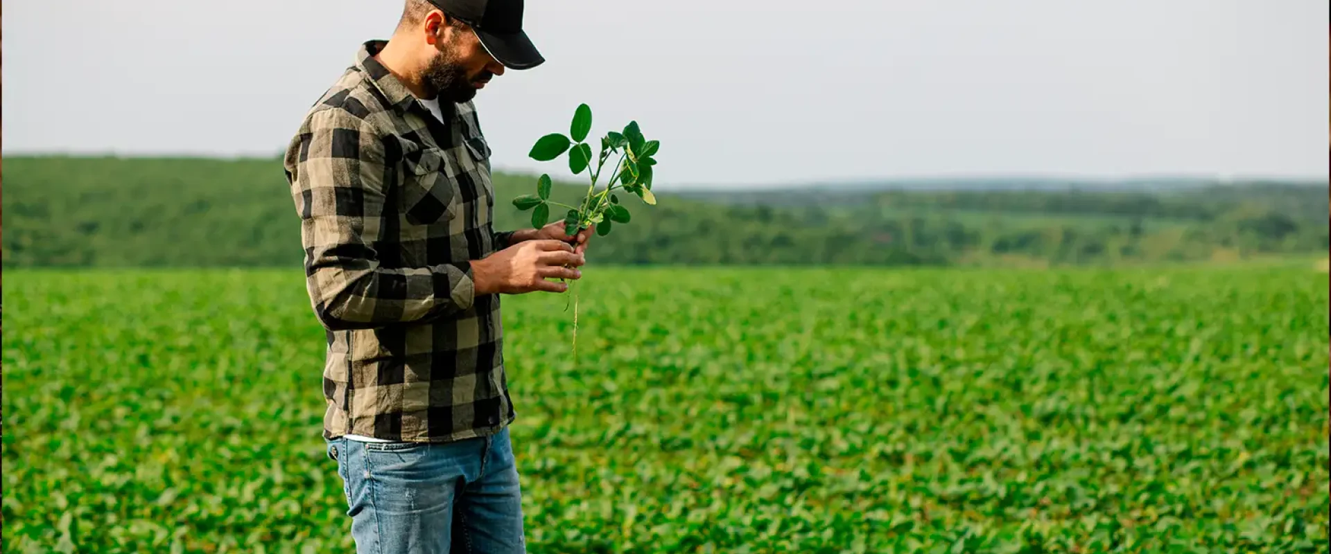 sustentabilidad argreen- Proyectos de investigación