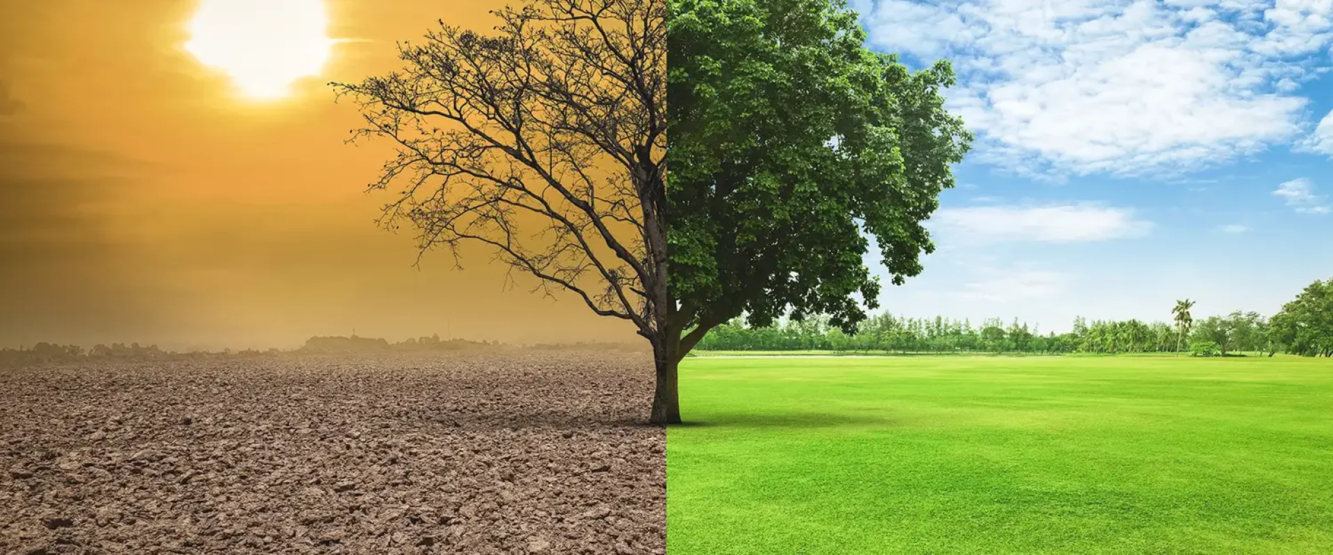 sustentabilidad argreen- Tenemos Responsabilidad